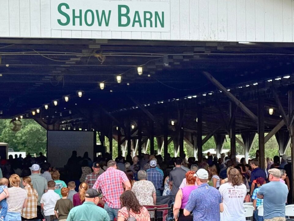 MVC @ Young Farmers' Pavilion