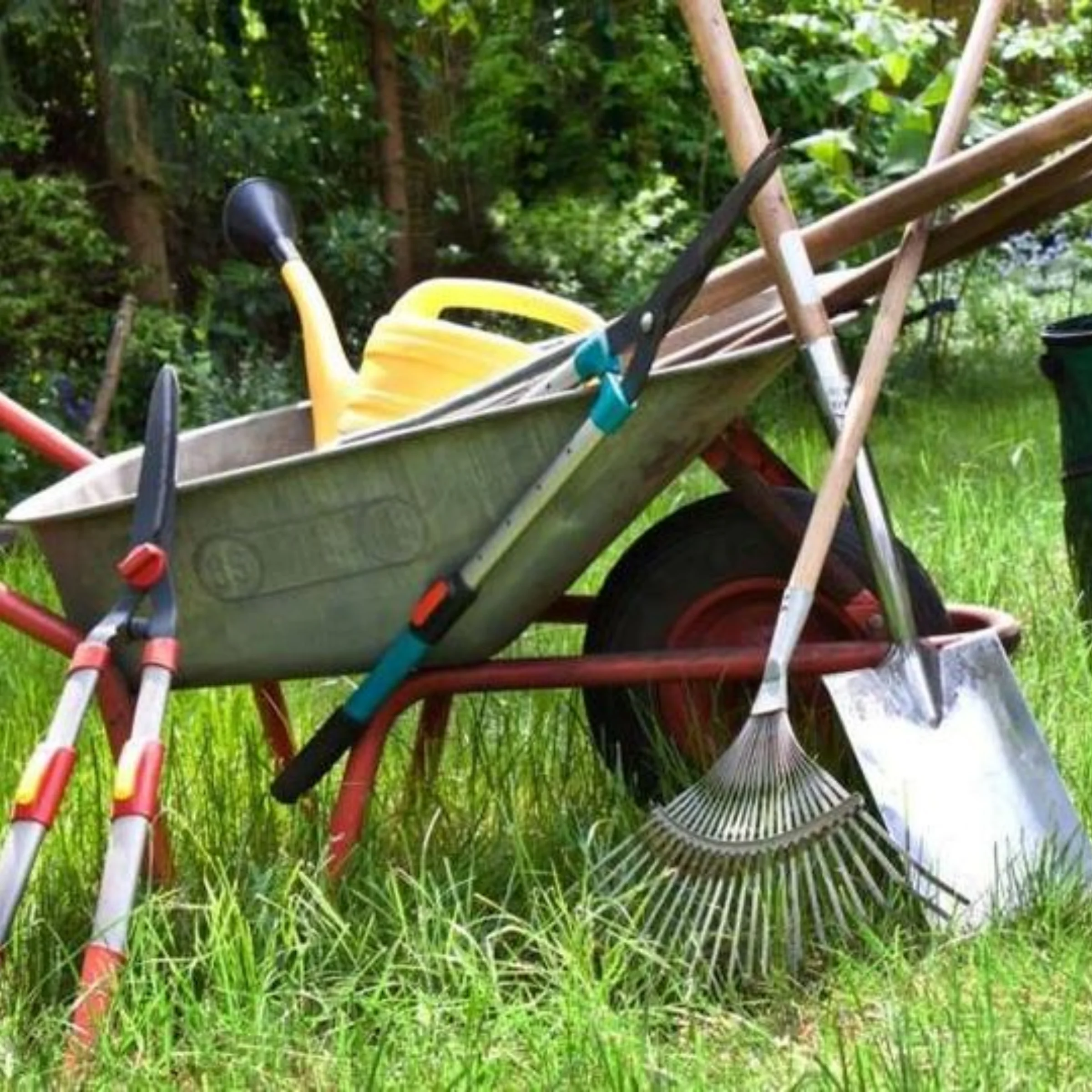 Madison Day Donations